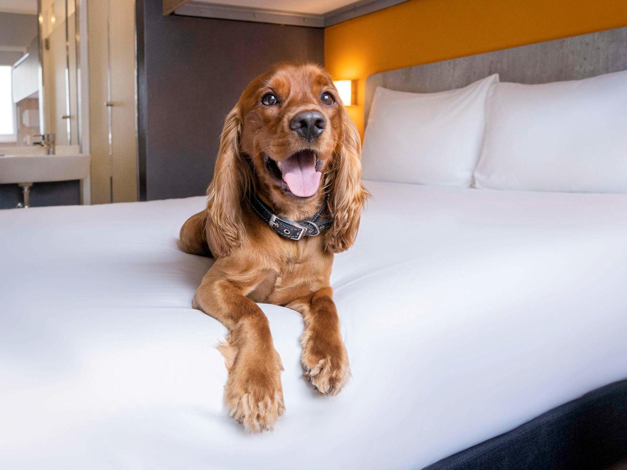 Ibis Budget Lima Miraflores ภายนอก รูปภาพ